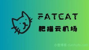 肥猫云机场怎么样？ | BGP三线+纯专线出口 - 小登笔记